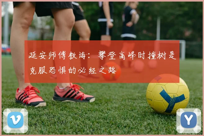 延安师傅教诲：攀登高峰时撞树是克服恐惧的必经之路